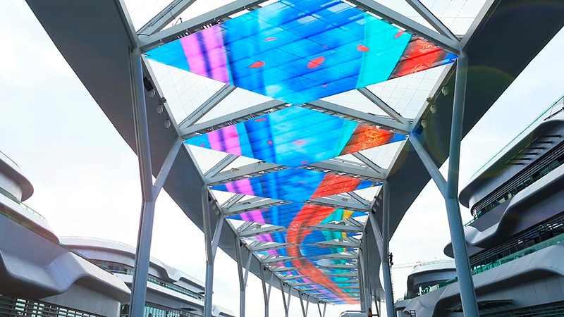 ��������С����ҵ��͸����Ļ����Ŀ